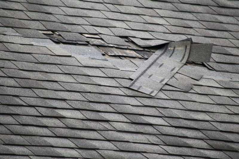 Asphalt Roof Leak Repair in Newville, PA