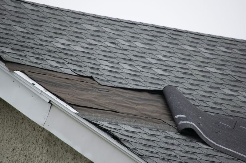 Asphalt Shingles Repair in Cascade, MD